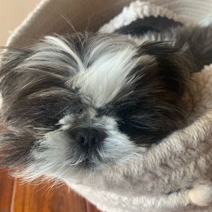 Meet your Posher, Diya